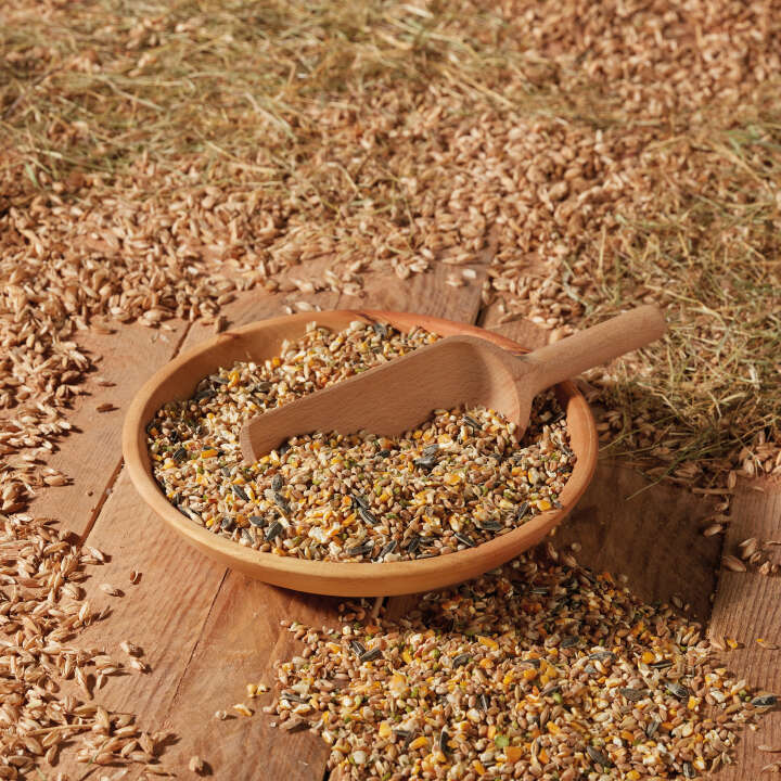 Landleben Freiland Körnerfutter Auslese